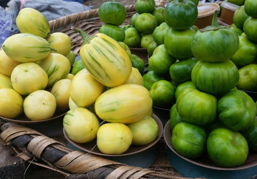 Types of African Garden Eggplant