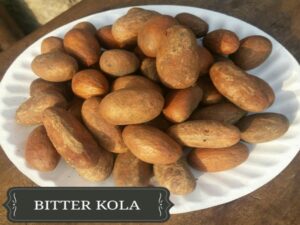 Eating Bitter Kola First in the Morning. Bitter Kola for Diabetes.