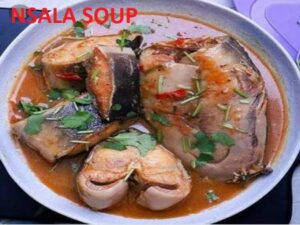 PICTURE OF NSALA SOUP