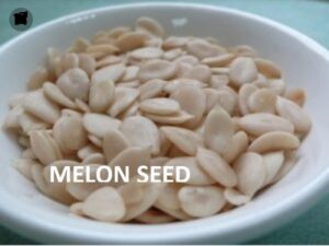 melon seed