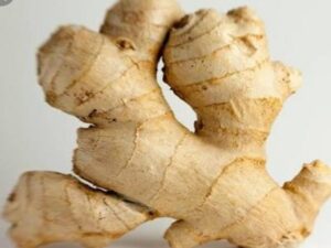 GINGER GOOD FOR BELLY FAT