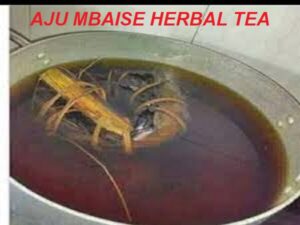 Aju Mbaise Healing Soup for Nursing Mothers 