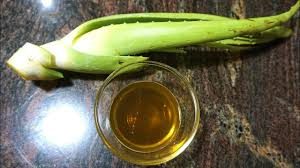 Aloe Vera Oil