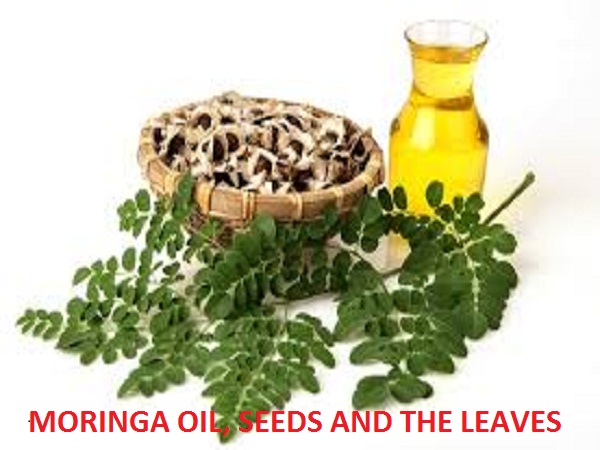 Moringa oil benefits