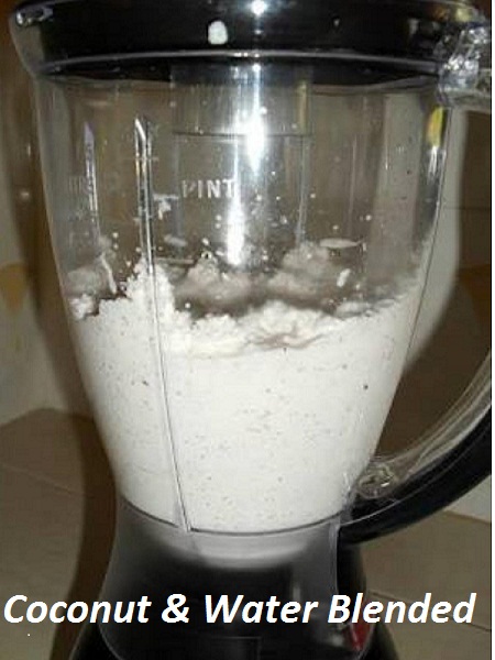 BLENDED COCONUT WITH WATER