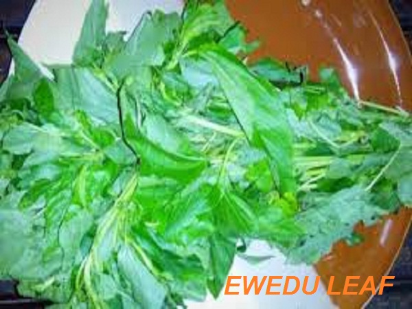 Ewedu Leaf Health Facts