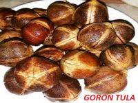 Goron Tula and Menstruation Pain