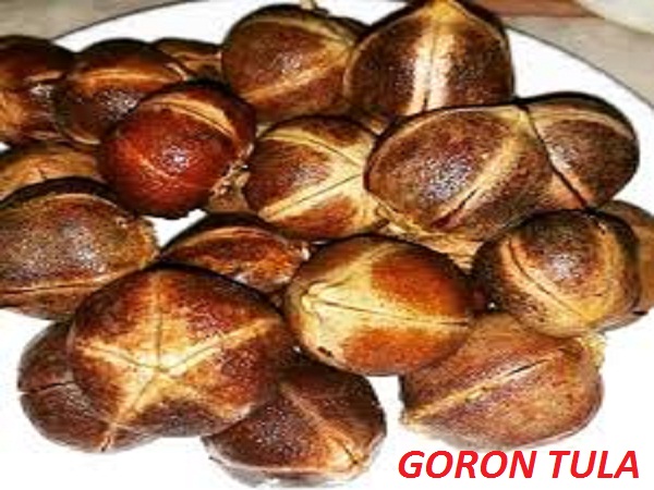 Goron Tula Fruit Natural Cleansing