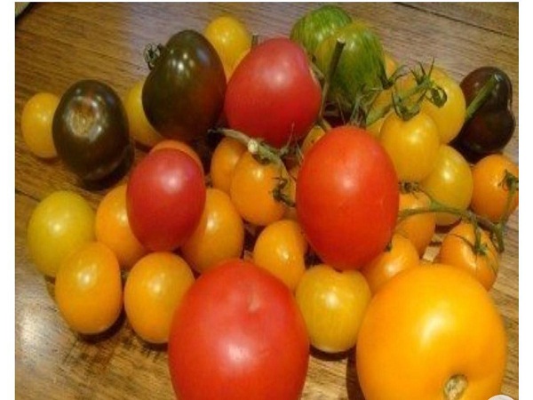 Tomato Nutrition- Different Colors and Shapes