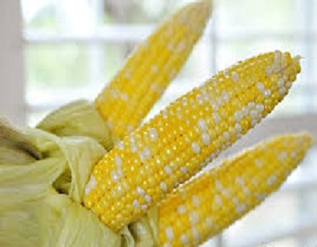 how to cook corn on the cob - boiling