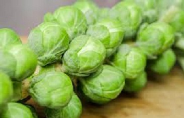 Best Brussels sprouts Image