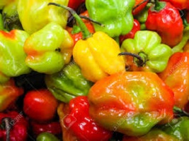 Benefits of Scotch Bonnet Peppers