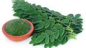 Moringa Leaf