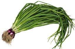 Spring onions