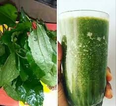 Ugu Juice Side Effects & Health Benefits of Pumpkin Leaf Juice