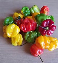 Jamaican Scotch Bonnet Pepper Hot Sauce