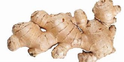Ginger Root Picture