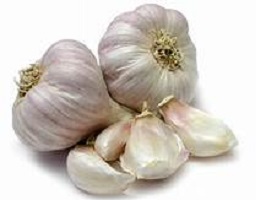 Raw Garlic Health Benefits
