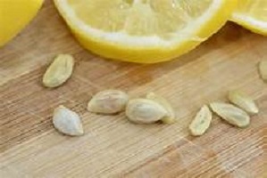 Лимон и семена ветивера семена