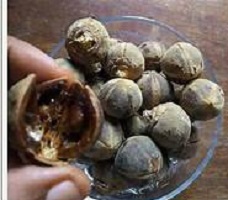 Goron Tula for Men Herbal Fertility Fruit That Cures It All