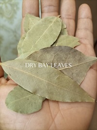 Bay Leaf Health Benefits & Uses