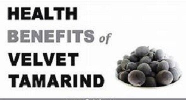 Health Benefits Black Velvet Tamarind Fruit