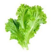 Amazing Benefits of Lettuce, Nutrition Facts & Side Effects