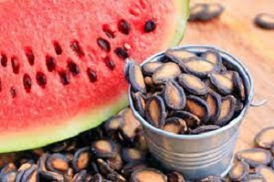 Is Watermelon Seed Good for Ulcer Patients 2021