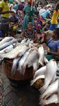 Most Popular Fish and Seafood Market in Lagos Nigeria