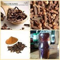 Does Clove Soaked in Water for Infections Work Question Answered