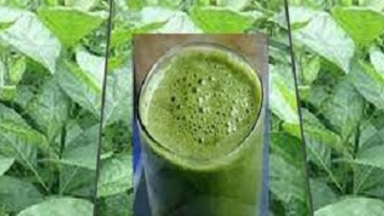 green-leaf-juice-discount-factory-save-67-jlcatj-gob-mx