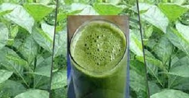 Health Benefits of Bitter Leaf Juice