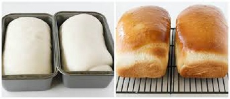 White Bread Easy Homemade Bread Recipe for Beginners