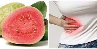 Does Swallowing Guava or Tomato Seed Cause Appendicitis in humans