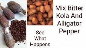 Bitter Kola and Alligator Pepper Mix Benefits