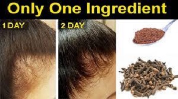 How To Use Cloves Water For Hair Growth  Water Mega Reservoirs