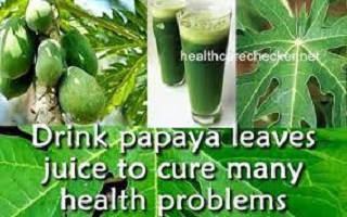 Papaya Leaf Juice Benefits for Skin