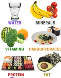 The 6 classes of food and their functions