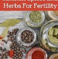 Best Herbs and Spices for Fertility