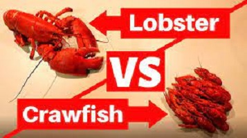 Difference Between Lobster and Crayfish Picture