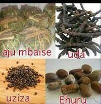 Igbo Herbs for Weight Loss Aju Mbaise, Uda, Uziza