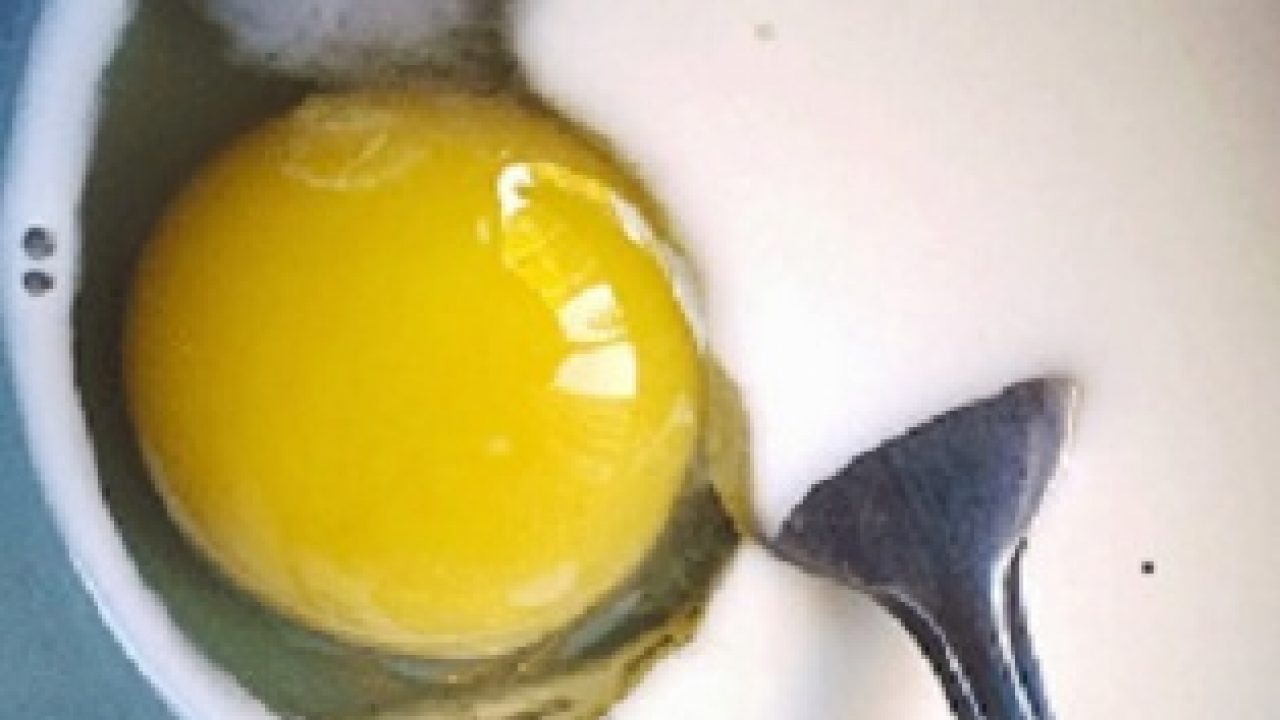 does raw eggs help dogs gain weight