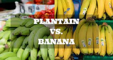 Plantain Vs Banana Taste