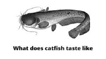 What Does Catfish Taste Like Good or Dirt