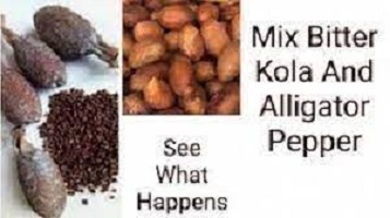 Health Benefits of Bitter Kola and Alligator Pepper Combination