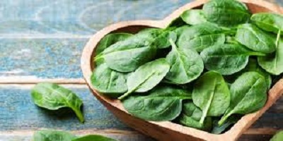 Spinach Benefits and Nutritional Facts