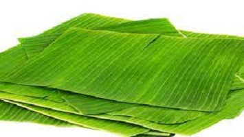 Banana Leaves benefits