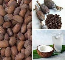 Benefits of Bitter Kola Soaked in Coconut Water