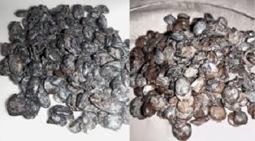 Iru Recipe African Fermented Locust Beans