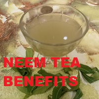 NEEM TEA BENEFITS FOR BODY